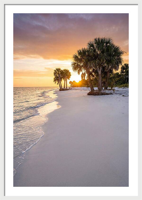 Edisto Beach Serenity