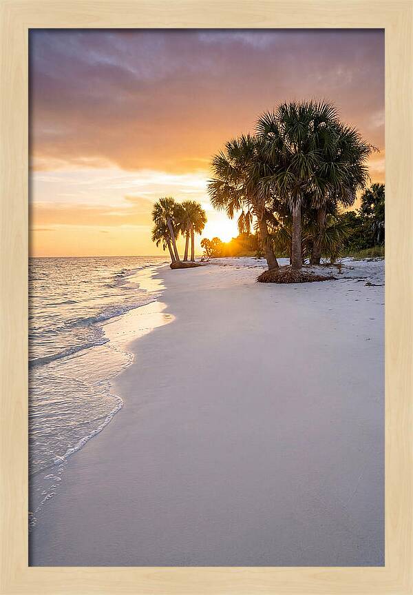 Edisto Beach Serenity