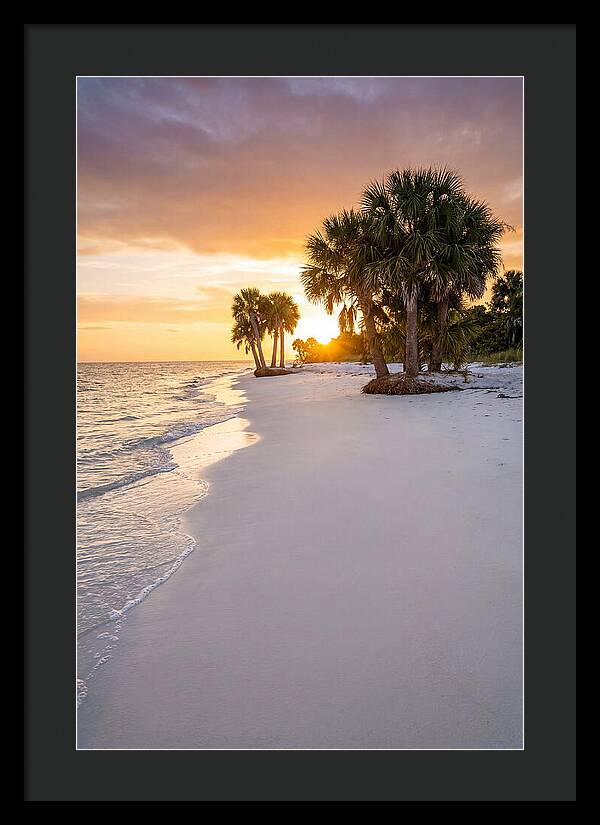 Edisto Beach Serenity