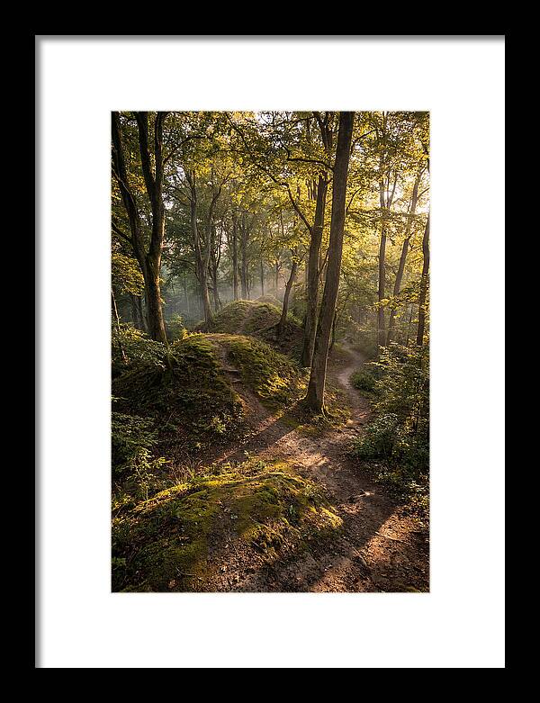 Effigy Mounds In Morning Light