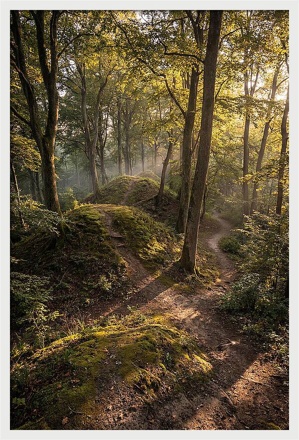 Effigy Mounds In Morning Light