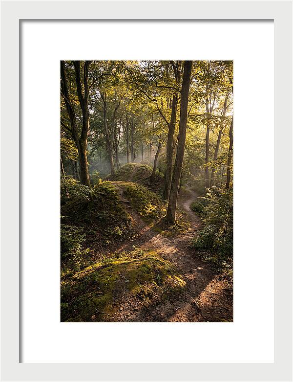 Effigy Mounds In Morning Light