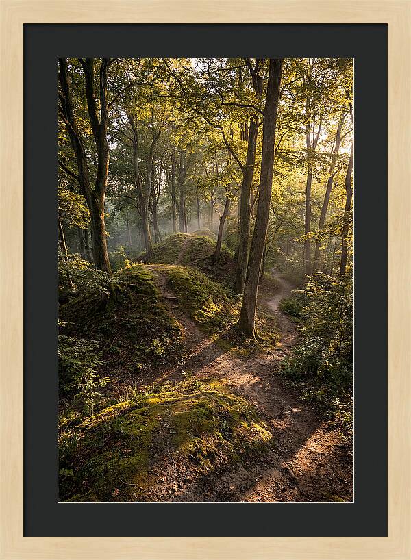 Effigy Mounds In Morning Light