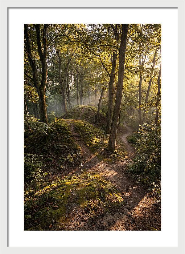 Effigy Mounds In Morning Light