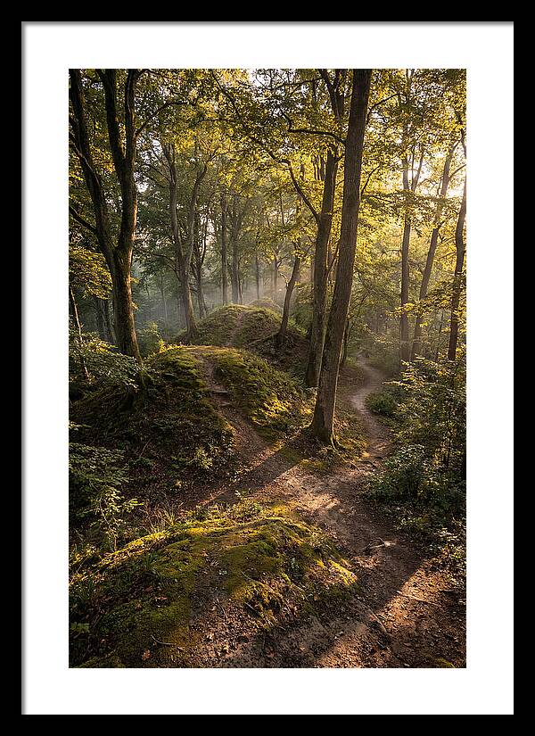 Effigy Mounds In Morning Light