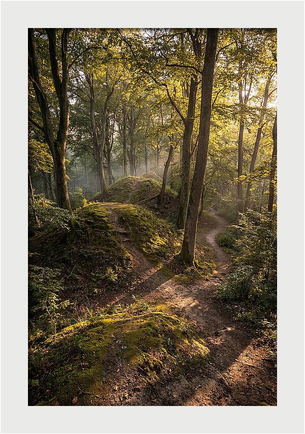 Effigy Mounds In Morning Light