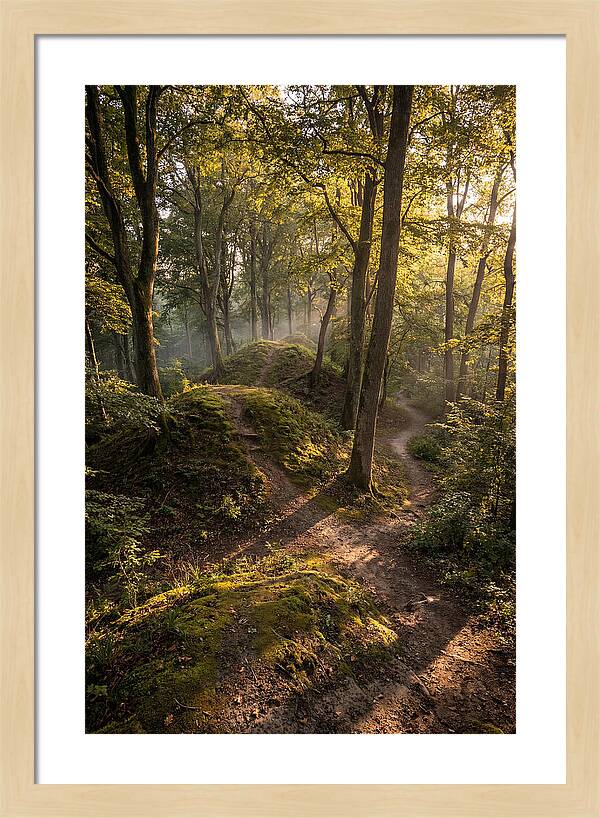 Effigy Mounds In Morning Light