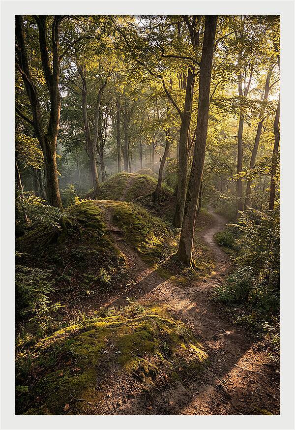 Effigy Mounds In Morning Light