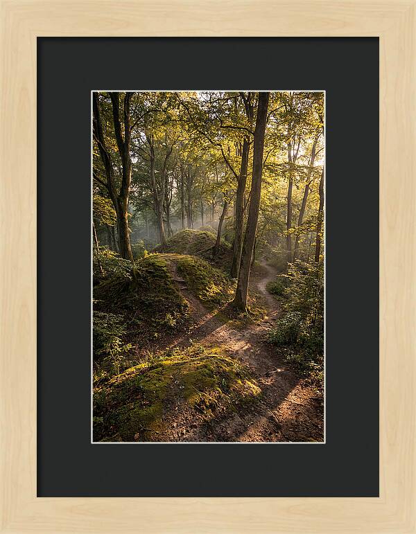 Effigy Mounds In Morning Light