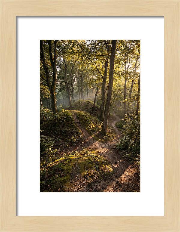 Effigy Mounds In Morning Light