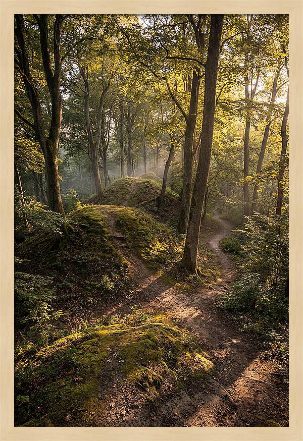 Effigy Mounds In Morning Light