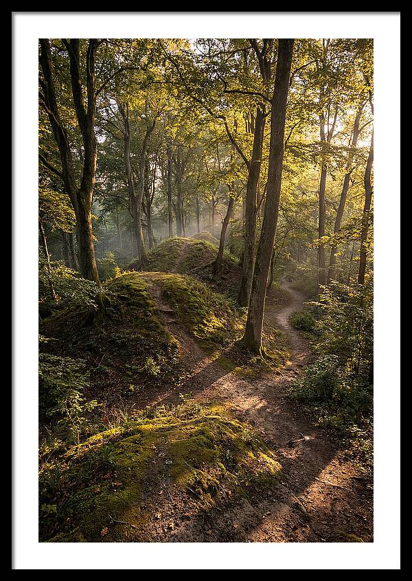 Effigy Mounds In Morning Light