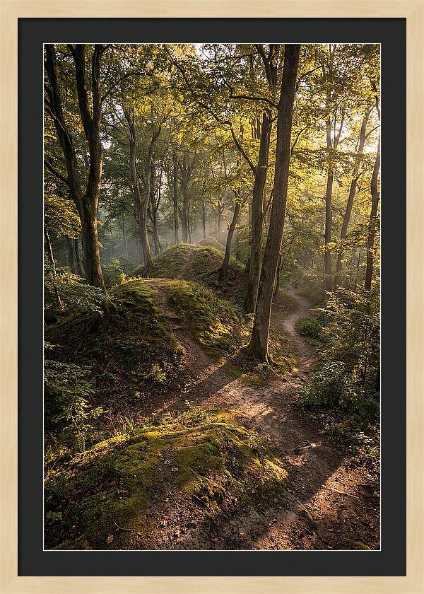Effigy Mounds In Morning Light