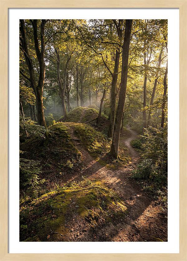 Effigy Mounds In Morning Light