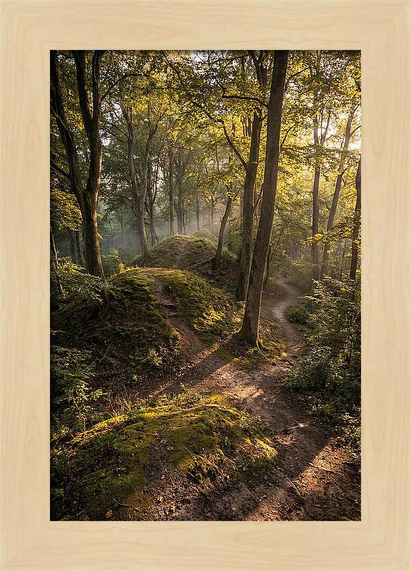 Effigy Mounds In Morning Light