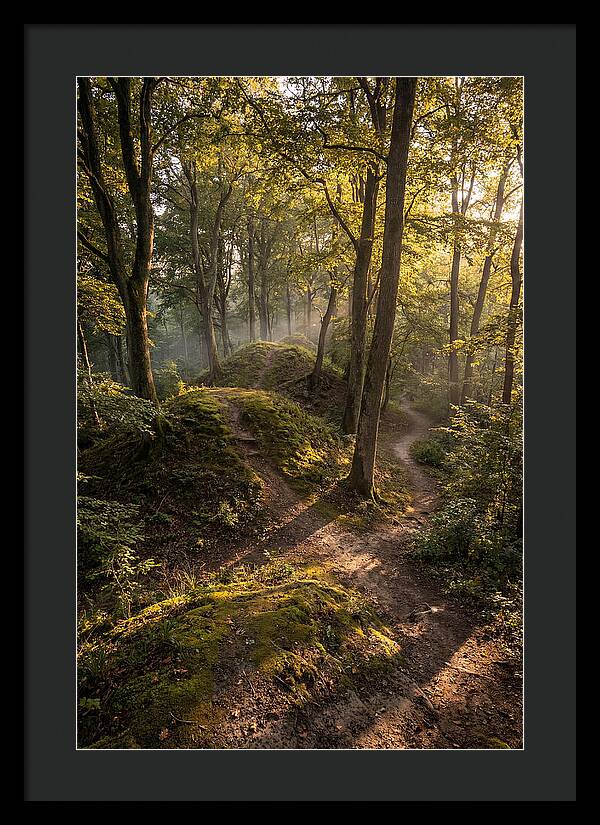 Effigy Mounds In Morning Light