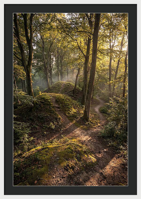 Effigy Mounds In Morning Light