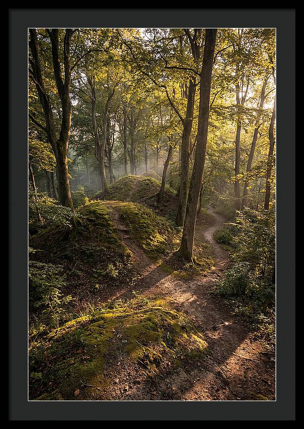 Effigy Mounds In Morning Light