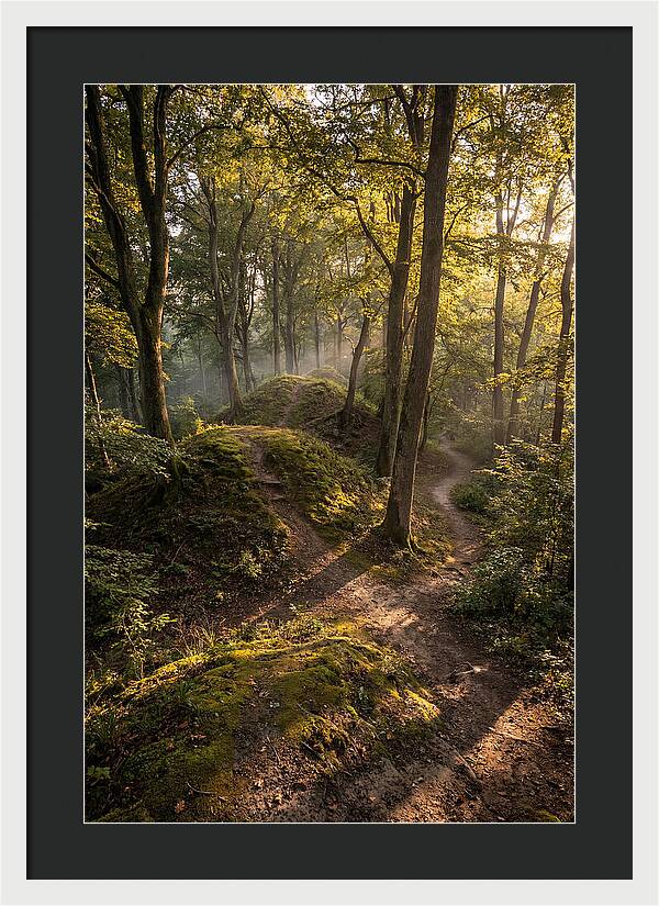 Effigy Mounds In Morning Light