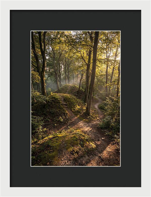 Effigy Mounds In Morning Light