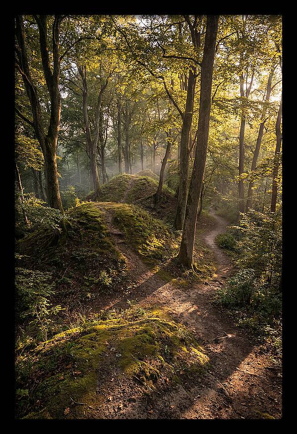 Effigy Mounds In Morning Light