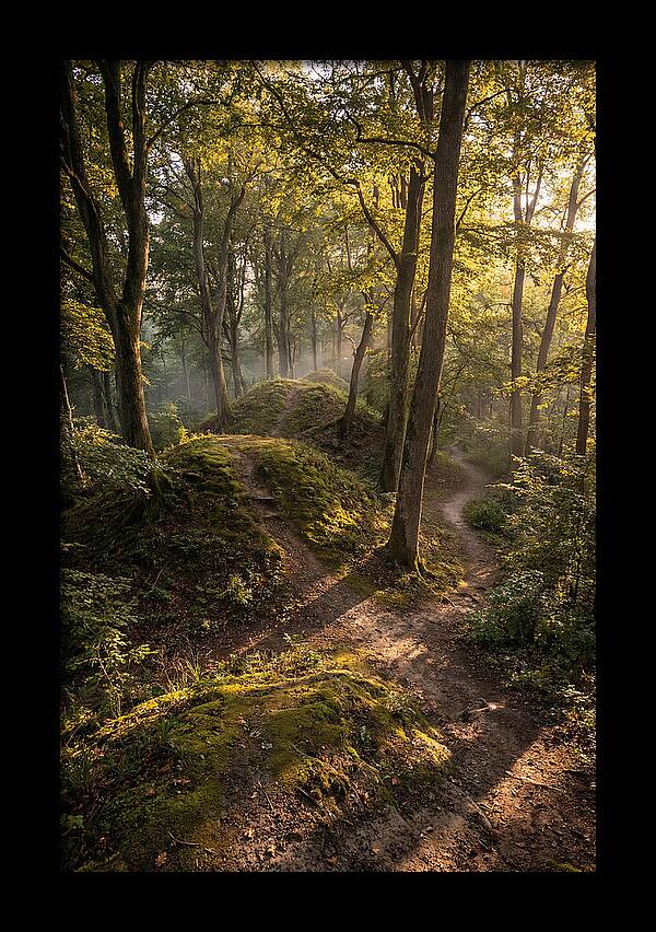 Effigy Mounds In Morning Light