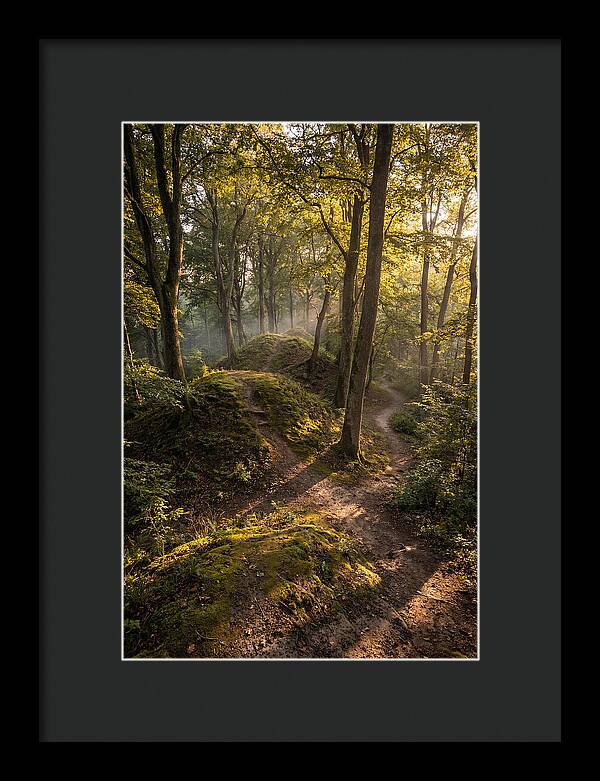 Effigy Mounds In Morning Light