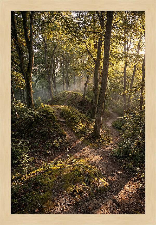 Effigy Mounds In Morning Light