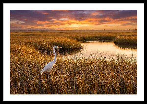 Egret Art