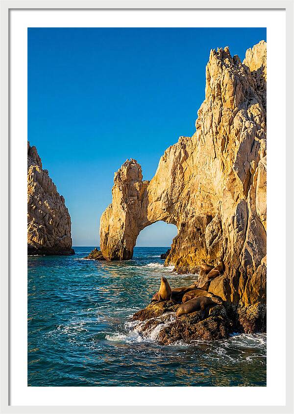El Arco De Cabo San Lucas At Golden Hour