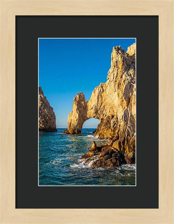 El Arco De Cabo San Lucas At Golden Hour