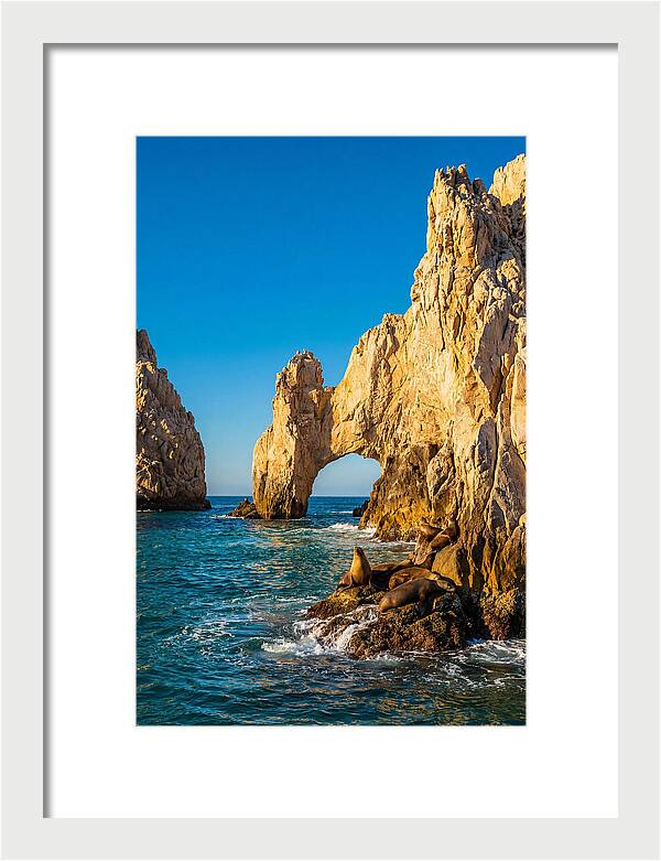 El Arco De Cabo San Lucas At Golden Hour