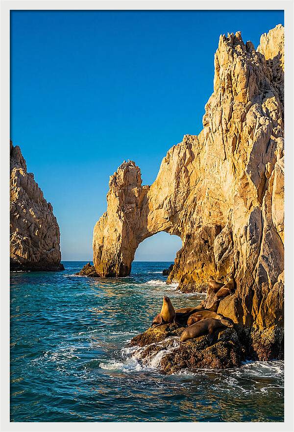 El Arco De Cabo San Lucas At Golden Hour