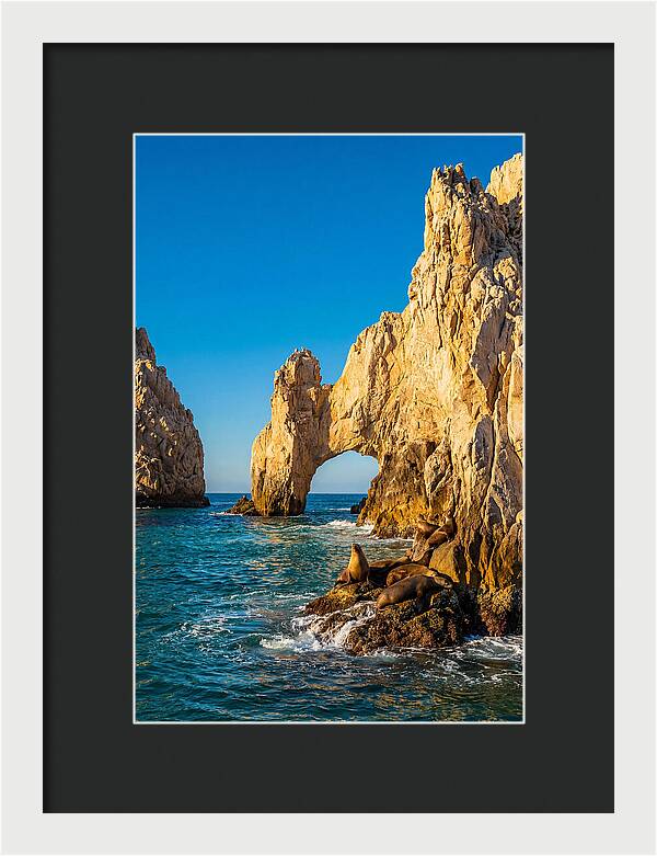 El Arco De Cabo San Lucas At Golden Hour