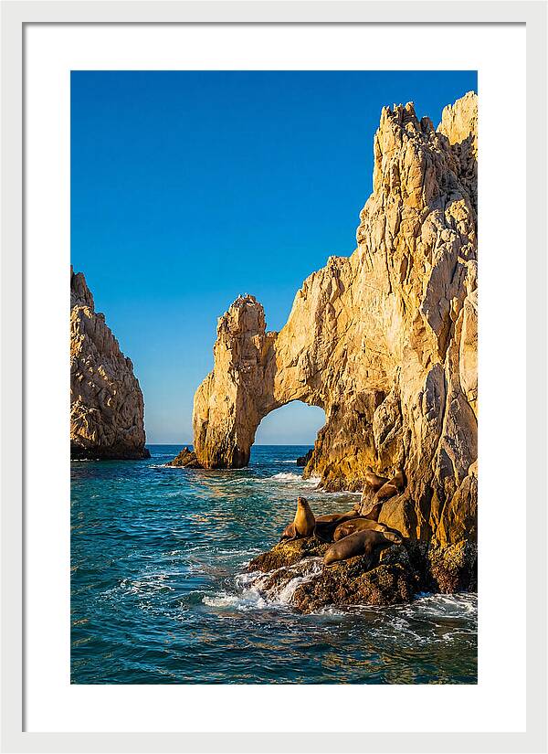 El Arco De Cabo San Lucas At Golden Hour