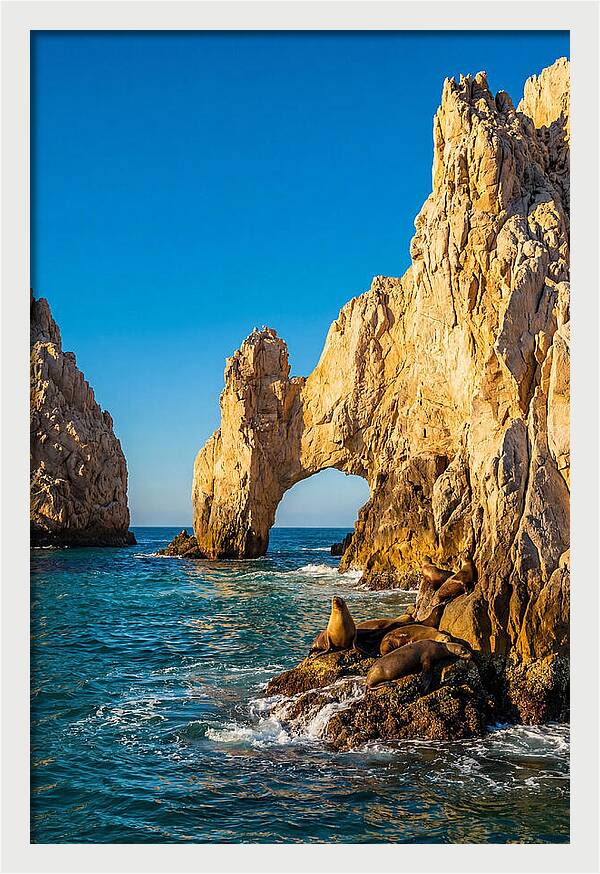 El Arco De Cabo San Lucas At Golden Hour