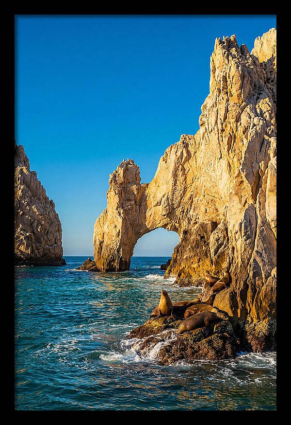 El Arco De Cabo San Lucas At Golden Hour