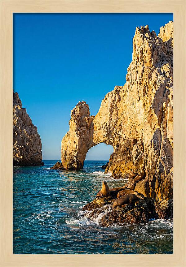 El Arco De Cabo San Lucas At Golden Hour