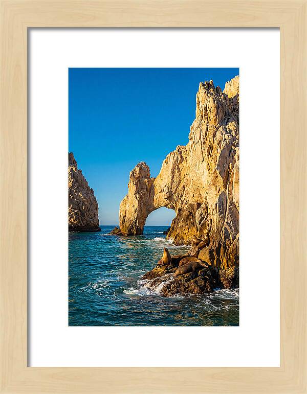 El Arco De Cabo San Lucas At Golden Hour