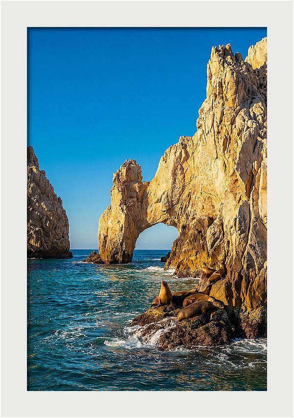 El Arco De Cabo San Lucas At Golden Hour