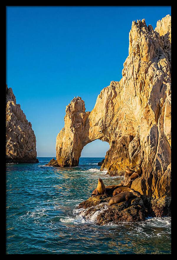 El Arco De Cabo San Lucas At Golden Hour