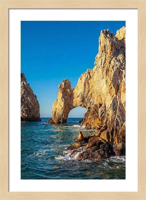 El Arco De Cabo San Lucas At Golden Hour