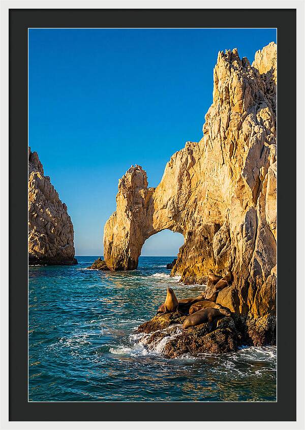 El Arco De Cabo San Lucas At Golden Hour