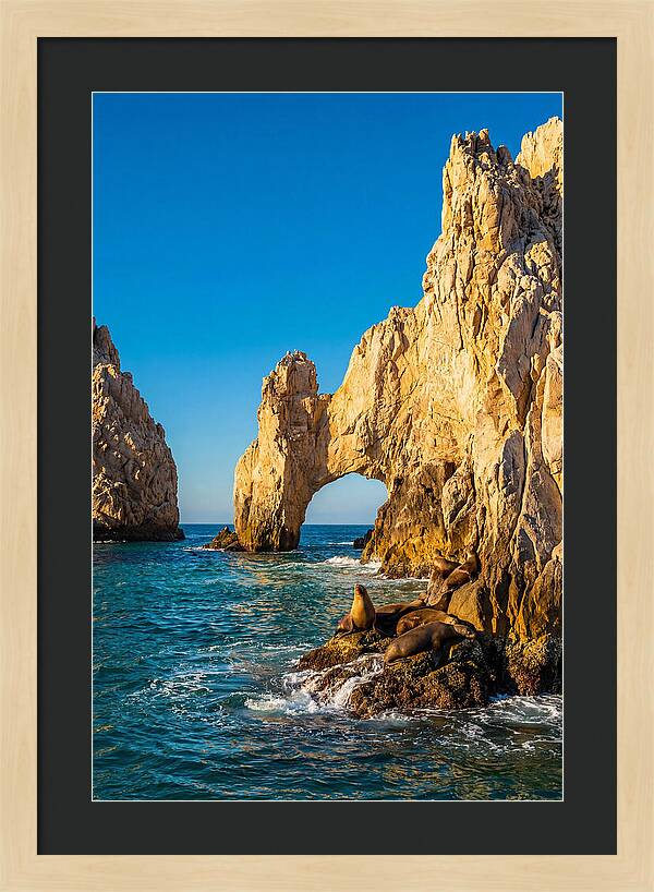 El Arco De Cabo San Lucas At Golden Hour