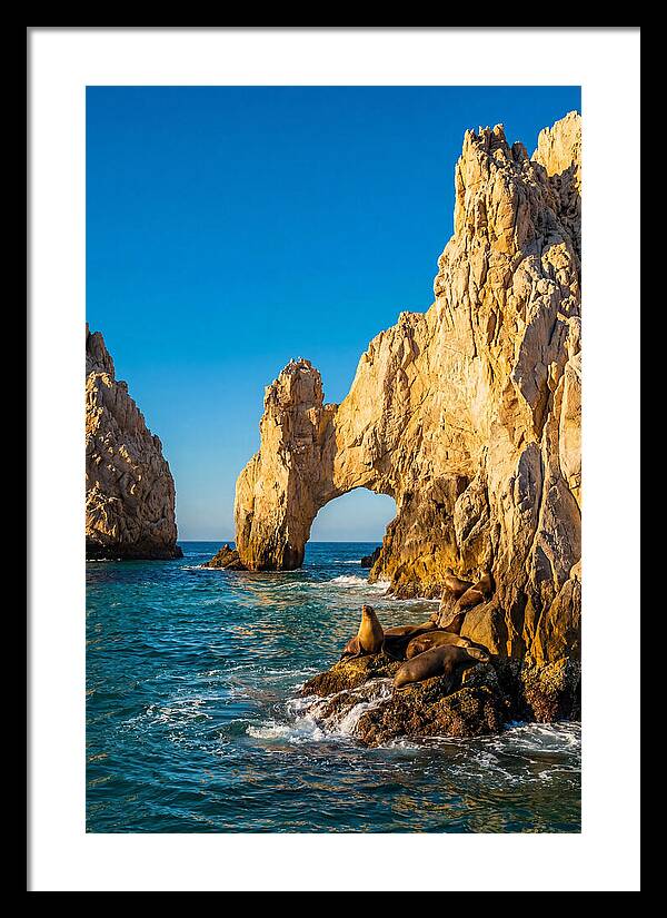 El Arco De Cabo San Lucas At Golden Hour