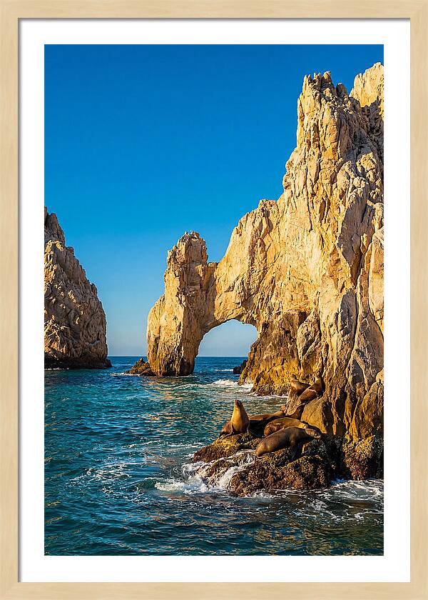 El Arco De Cabo San Lucas At Golden Hour