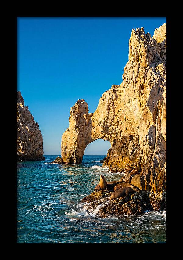 El Arco De Cabo San Lucas At Golden Hour