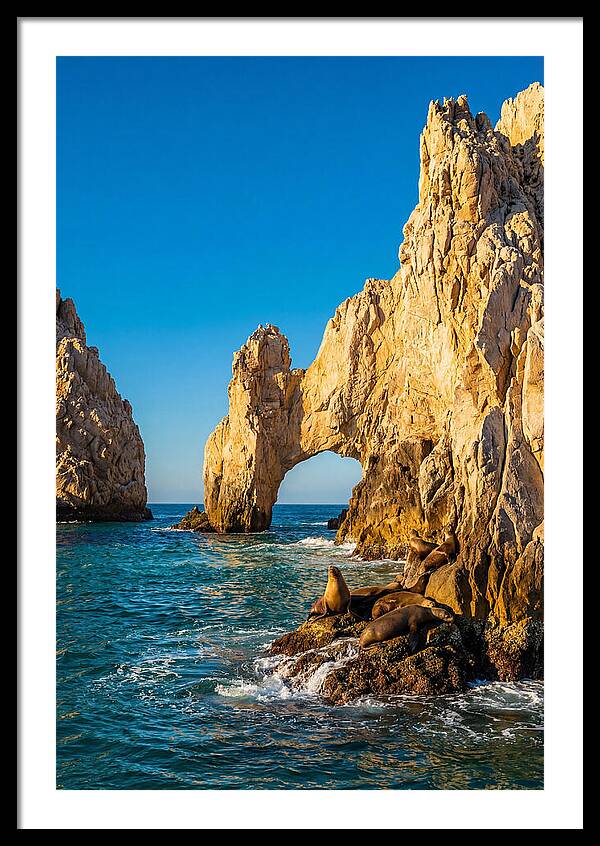 El Arco De Cabo San Lucas At Golden Hour