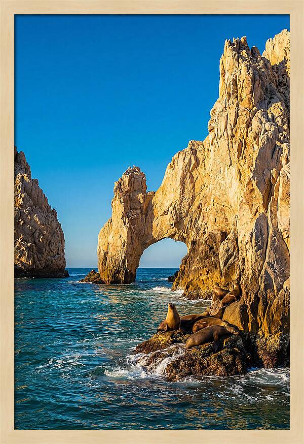 El Arco De Cabo San Lucas At Golden Hour