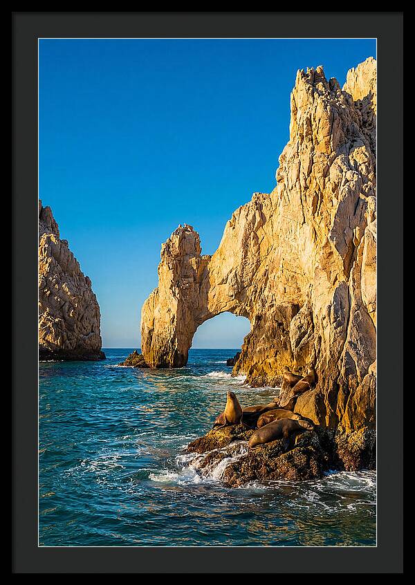 El Arco De Cabo San Lucas At Golden Hour